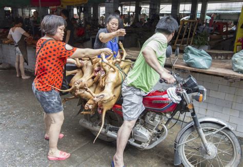  Rökt Hjärta av Hund med Ingefärasås - Är detta den mest omtvistade kulinariska upplevelsen i Yulin?