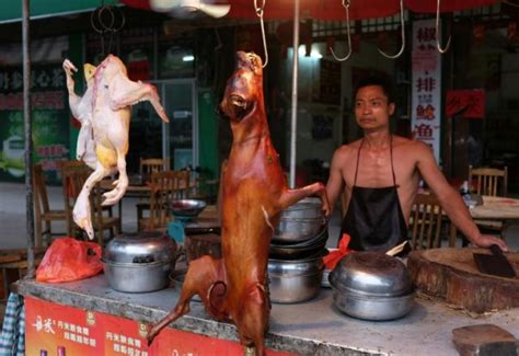  Yulin Gou Rou! En kulinarisk resa genom Yulins kryddiga hundköttssoppa.